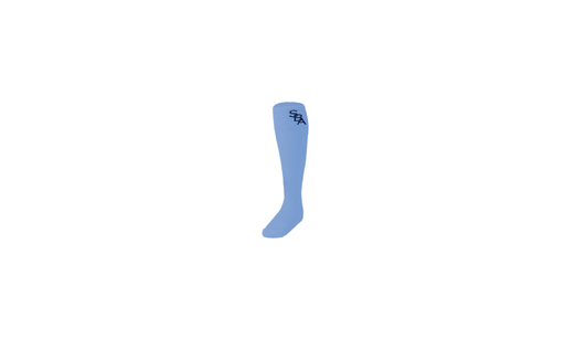 SBA Palmetto - Columbia Socks